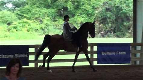oshkosh charity horse show 2024 schedule